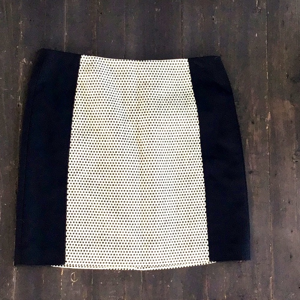 NWT Loft Skirt